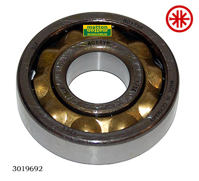 3019692 Lager Kreidler NSK BO17