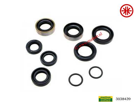 3038439 Keerringset Kreidler 3V Bac