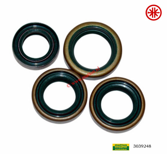 3039148 Keerringset Kreidler 4V