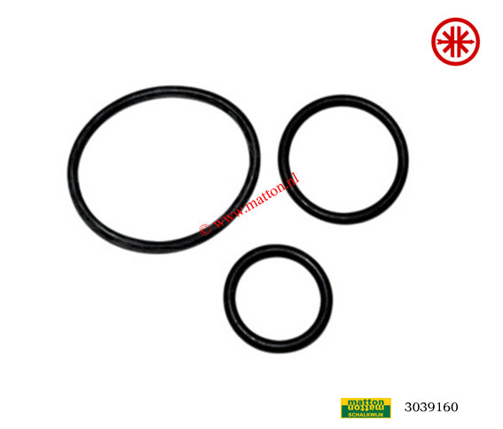 3039160 O-ringset Kreidler 4/5V 3-delig oud model Bac