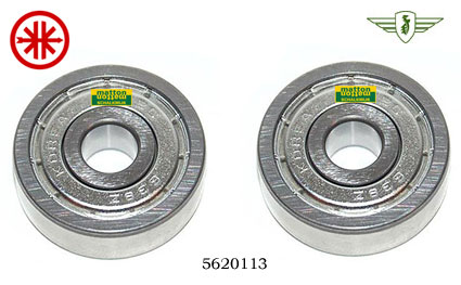 5619434 Lagerset 6201 ZZ