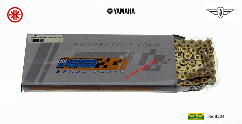 5668204 4204 Ketting IGM 420x128 heavy duty goud