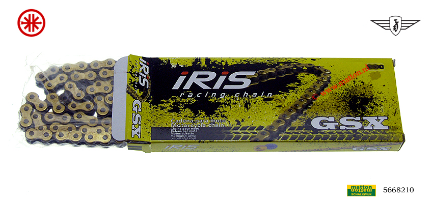 5668210 4204 Ketting Iris 415x128 RX goud